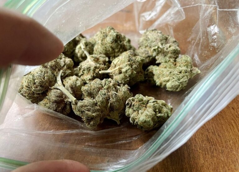 Close-up of cannabis buds in a plastic bag, with a hand reaching toward them.